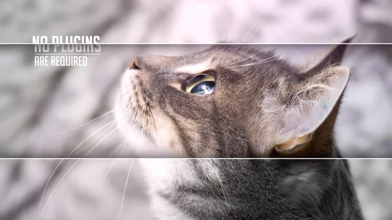 优雅视差线素材库精选AE模板