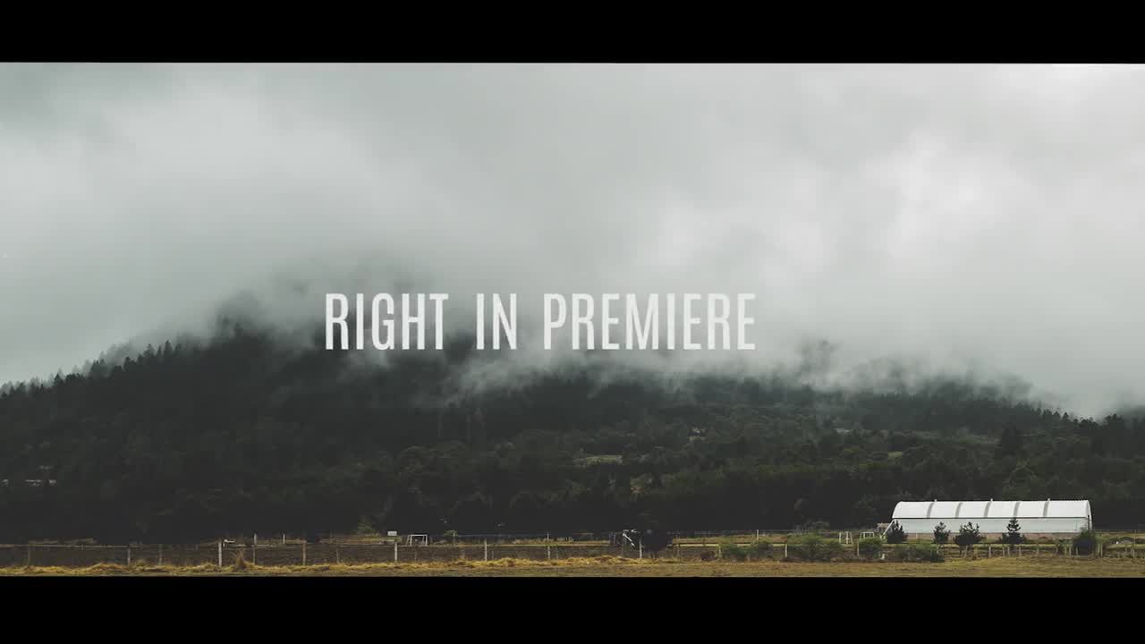 快捷灵活动画素材库推荐PR模板