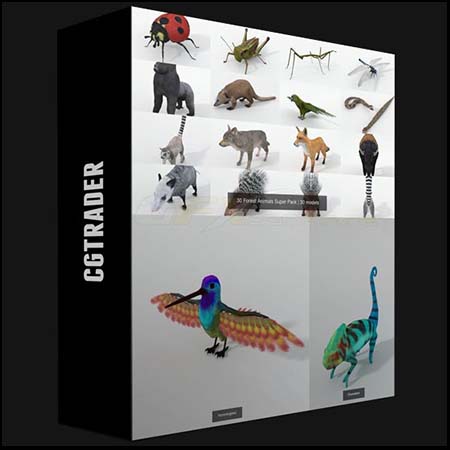 逼真的森林野生动物素材之家精选3D模型