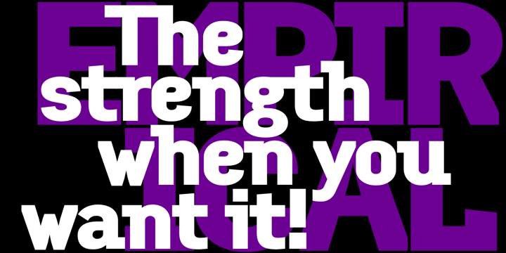 Empirical Font Family插图4