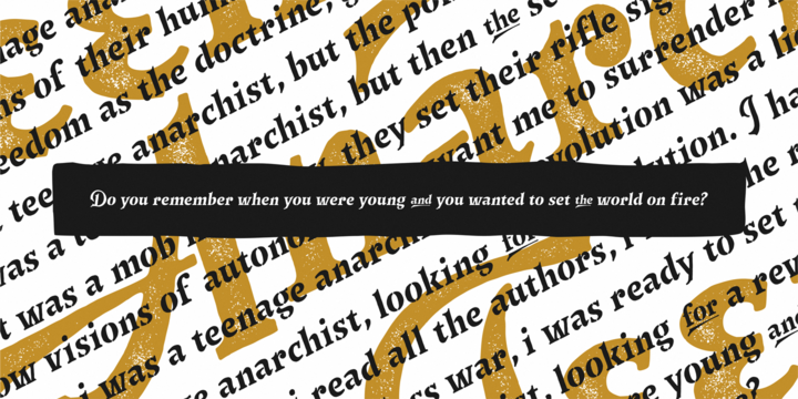 Versica Family插图3