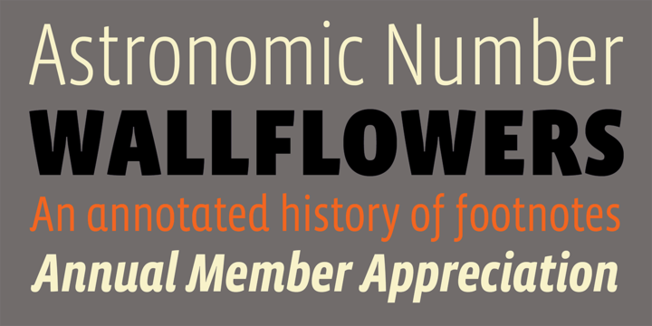 Vista Sans Narrow Font Family插图2