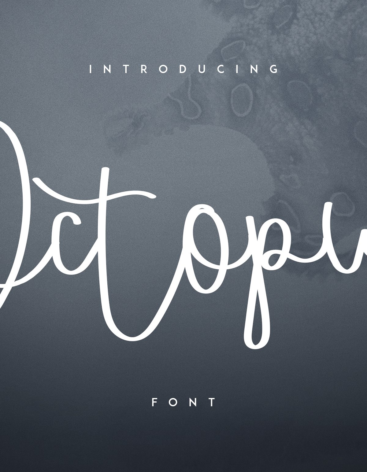 Octopus font素材之家精选英文字体