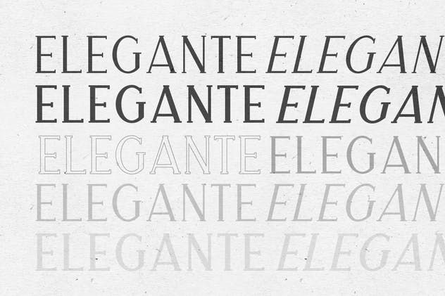 经典优雅外观衬线英文字体下载 Merova – Classic Serif (5 Fonts)插图(1)