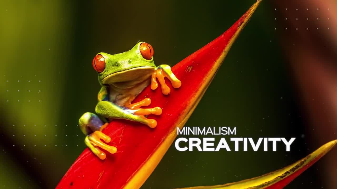 动感活力时尚幻灯片素材库精选PR模板