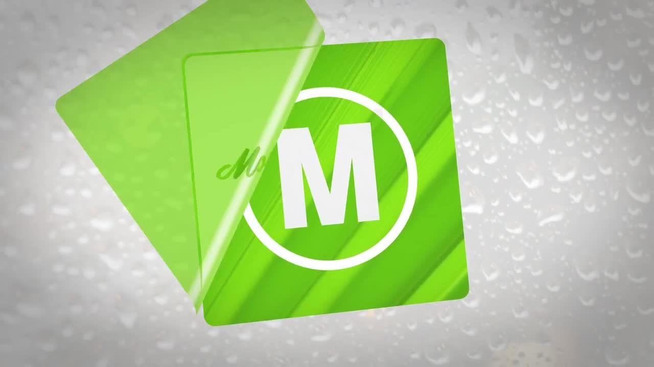 时尚的logo标志贴纸展示素材库精选AE模板