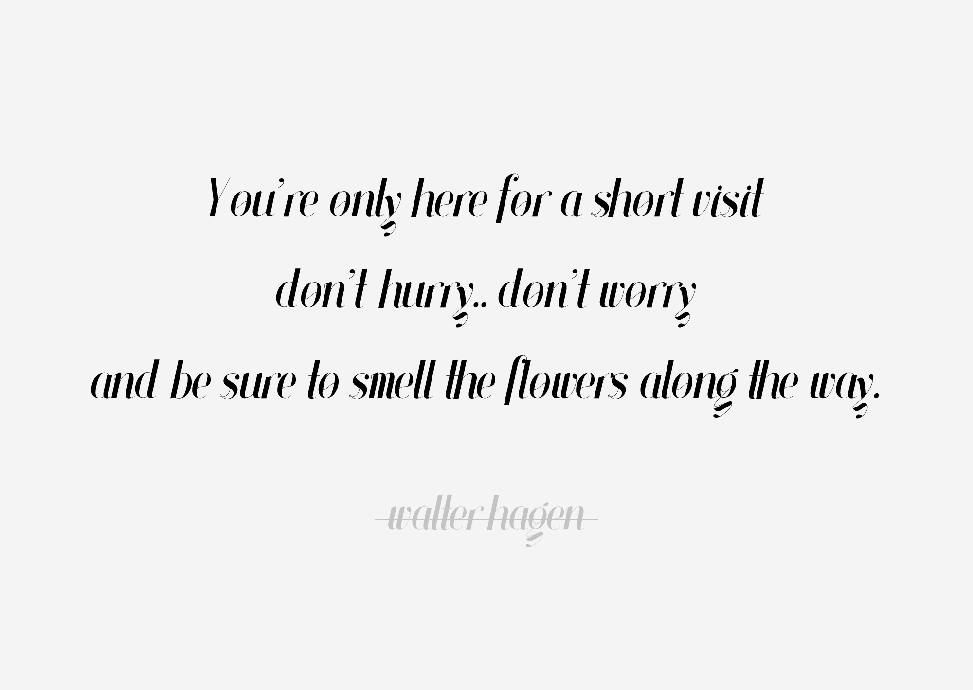 雅致设计风格英文衬线斜体字体 Finches Serif Italic Font插图(3)