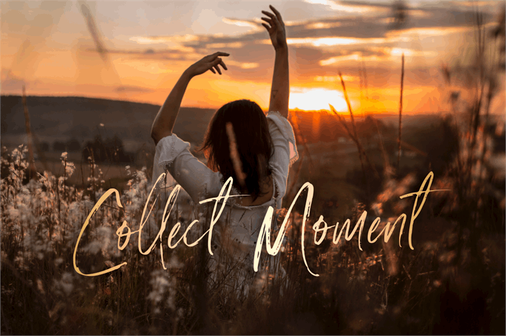 Amourist font插图1