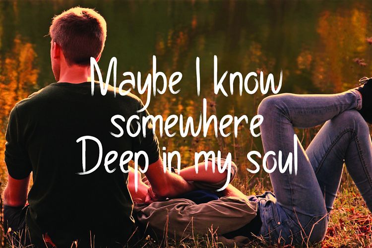 Pollaroid Regular Font插图1