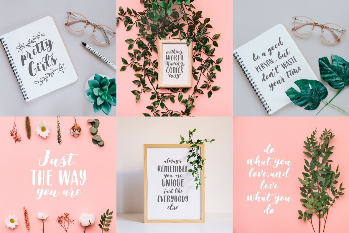 Clarisha Font Family插图1