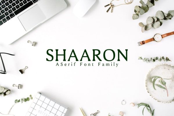 极简优雅风格衬线字体家族 Shaaron A New Serif Font Family