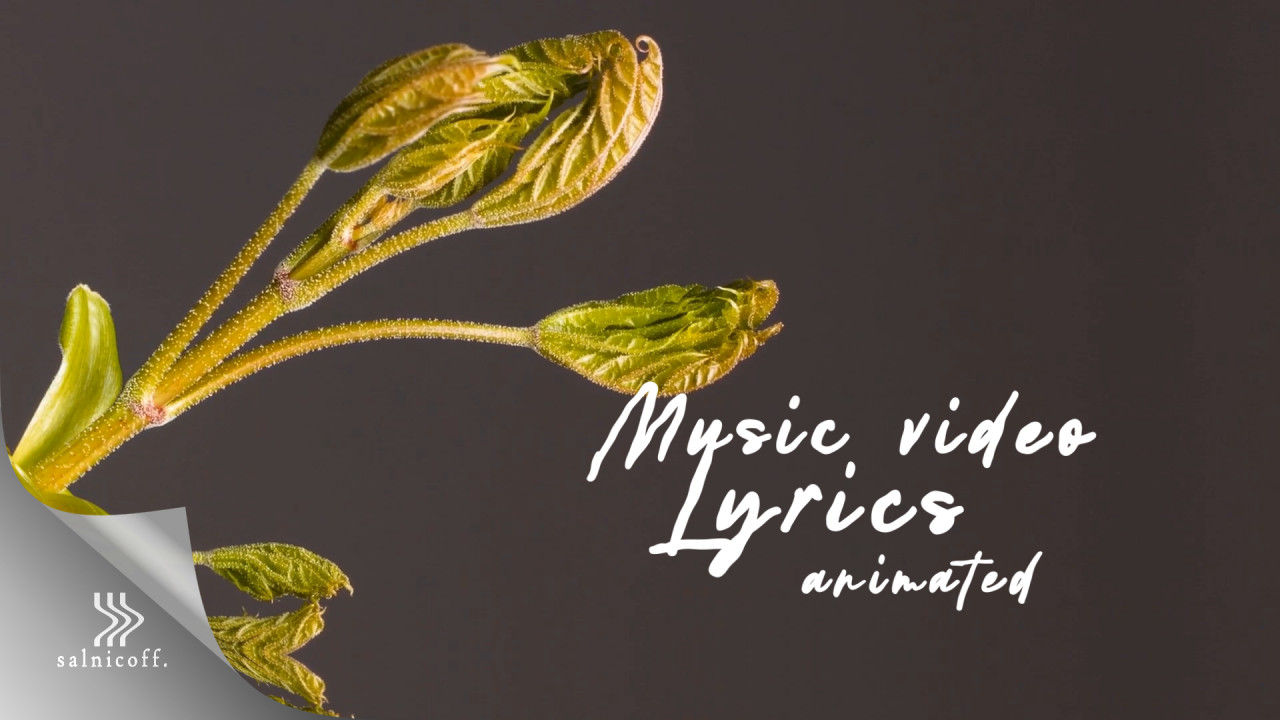 整洁有序的歌词文本动画素材库精选AE模板