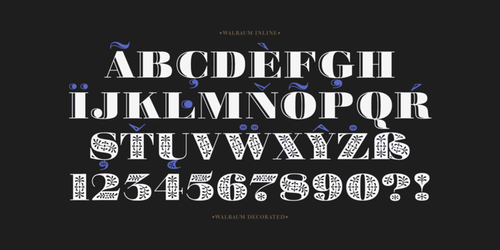 Walbaum Font Family插图4