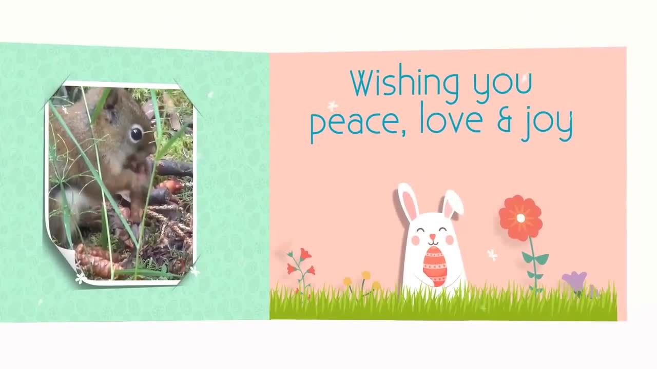 复活节素材库精选AE模板