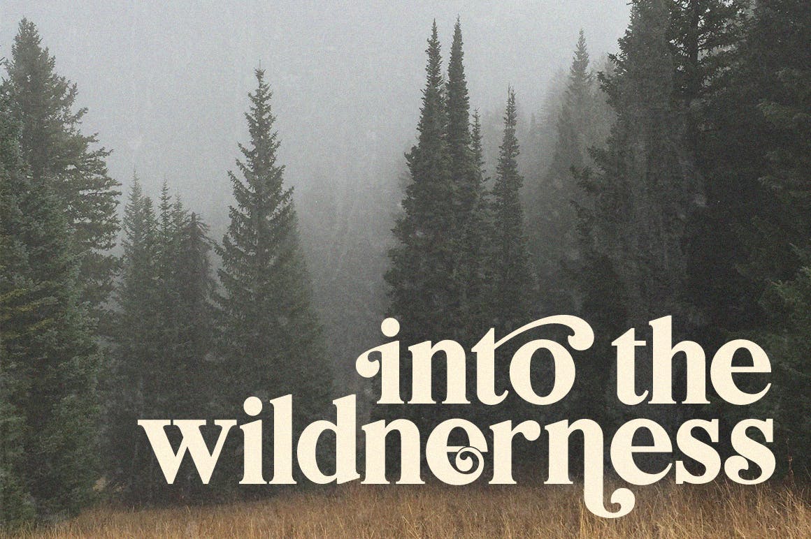 创意英文衬线字体素材库精选二重奏 Bilingual Serif Font Duo插图(6)