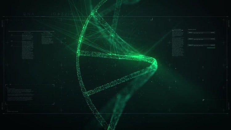 DNA修复徽标展示ae模板