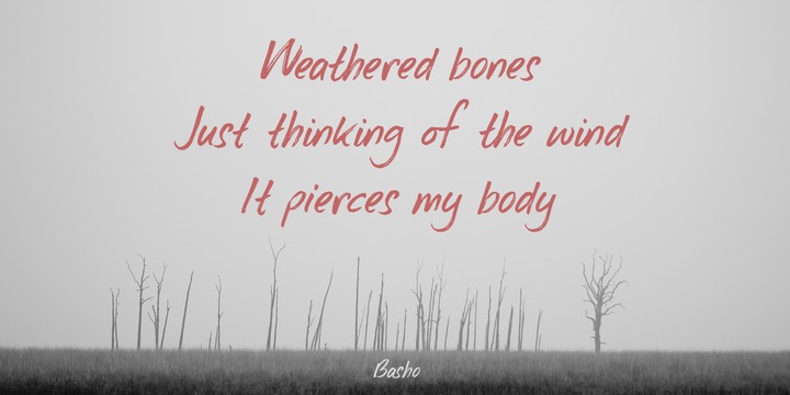 Weeping Willow Font插图3