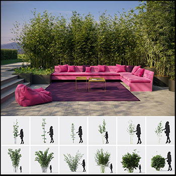 竹子竹林素材之家精选3D模型