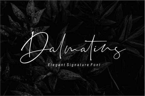 Dalmatins font素材之家精选英文字体