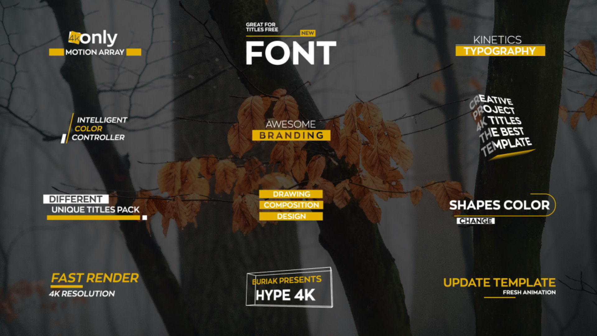 12个不同标题4k动画素材库精选AE模板