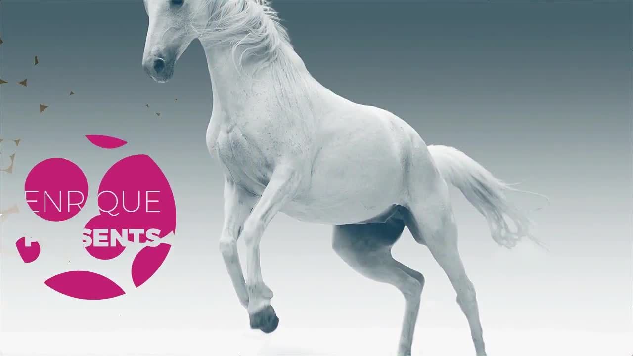 图案切片效果动物幻灯片素材库精选AE模板