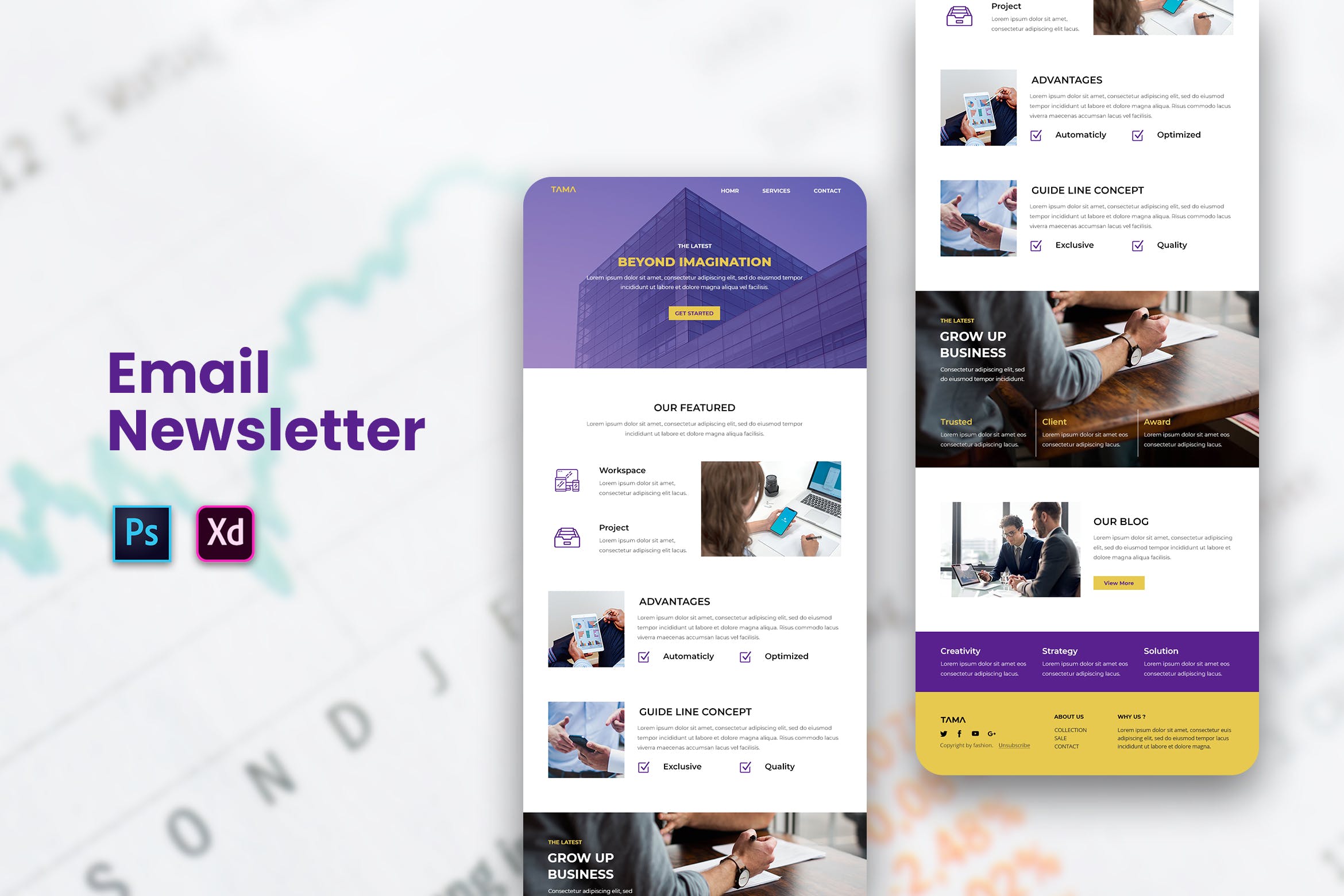 企业品牌形象营销EDM邮件模板素材库精选下载 Email Newsletter插图