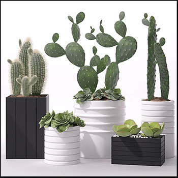 仙人掌仙人棒多肉绿色植物盆栽素材之家精选3D模型