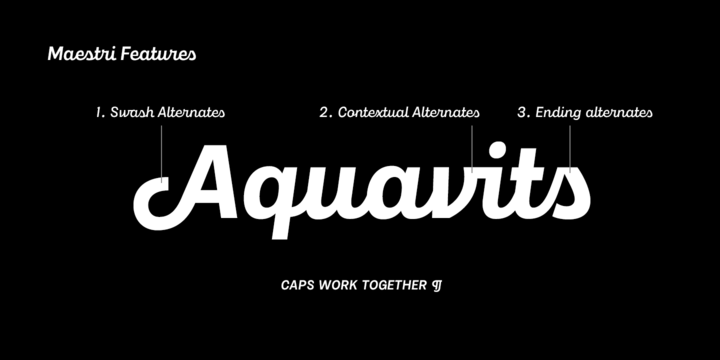 Maestri Font Family插图