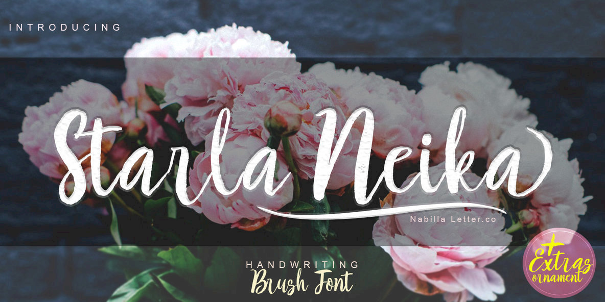 Starla Neika Font Family素材之家精选英文字体