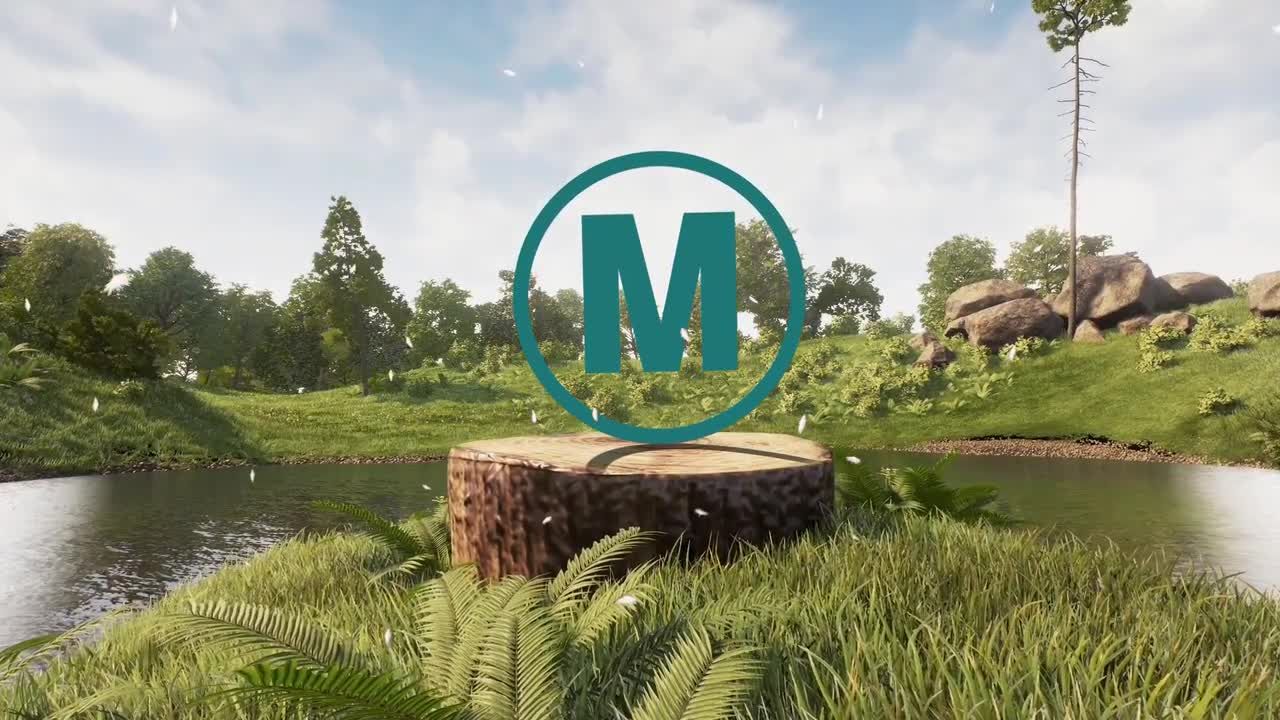 逼真的3D自然标志素材库精选AE模板