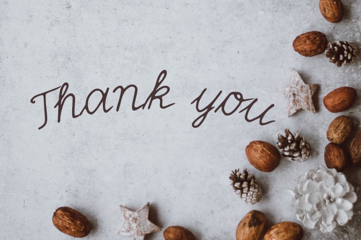 Pelargonium Font插图3