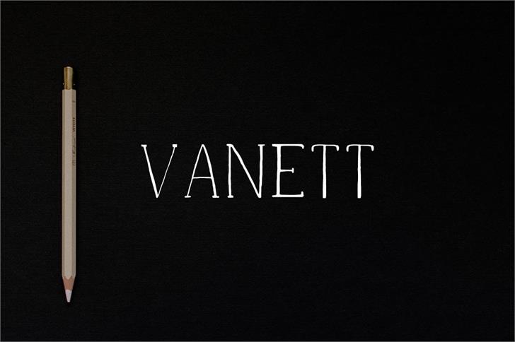 Vanett Demo font插图