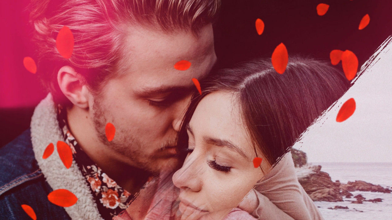 温暖浪漫的花瓣散落特效视频展示素材库精选AE模板