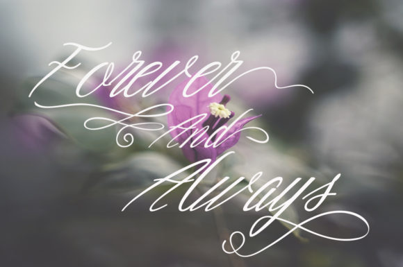 Amooliya Font插图2