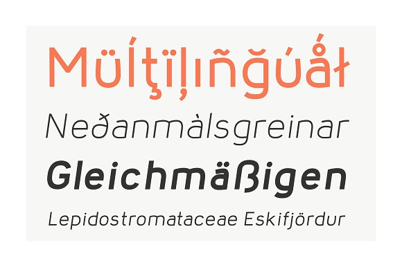 Nora Grotesque插图4