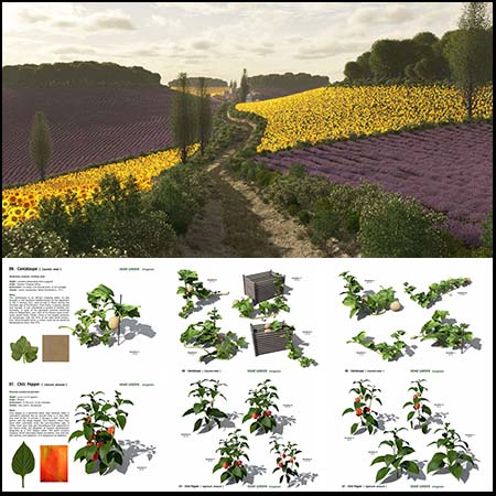 农业3D蔬菜植物OBJ格式