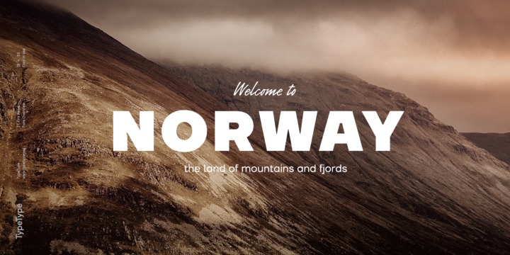 TT Firs Neue Font Family素材之家精选英文字体