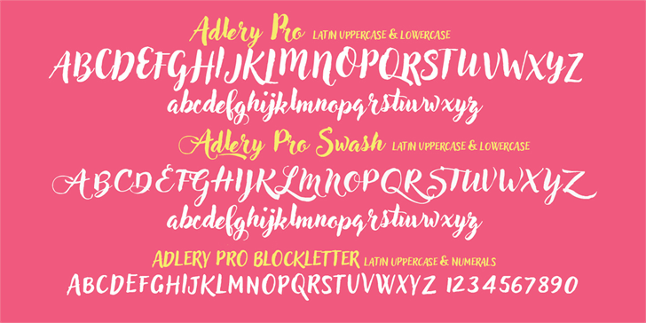 Adlery Pro font插图2 Adlery Pro font插图2