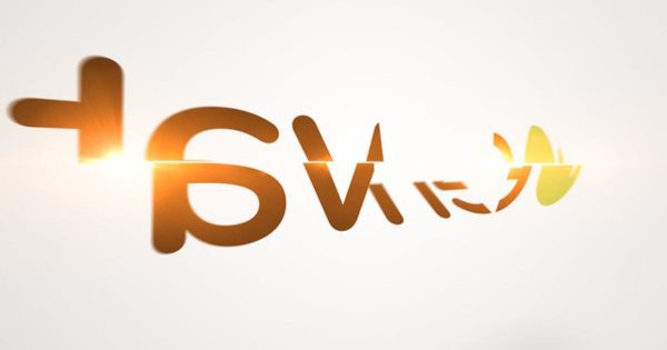 翻转特效Logo设计预览视频素材库精选AE模板 Flipping Parts Logo