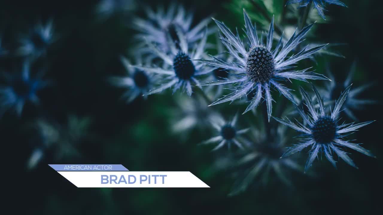 13个独特下三分之一全屏幕标题素材库精选AE模板