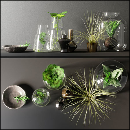 玻璃花卉水培器皿素材之家精选3D模型