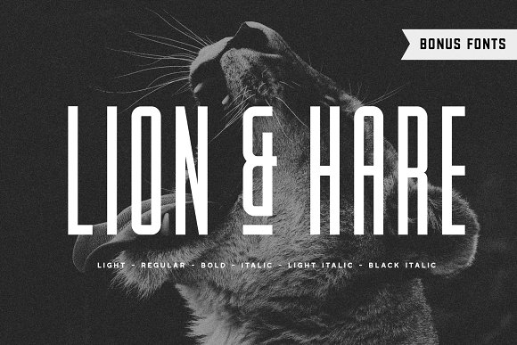 Lion & Hare Font + Bonus Fonts!素材之家精选英文字体