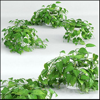 吊篮室内盆栽绿色植物素材之家精选3D模型