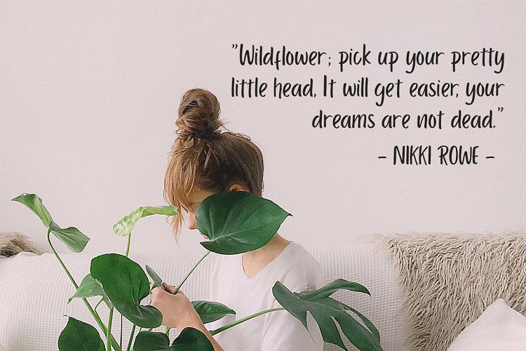 Porcelain Sans Regular Font插图1