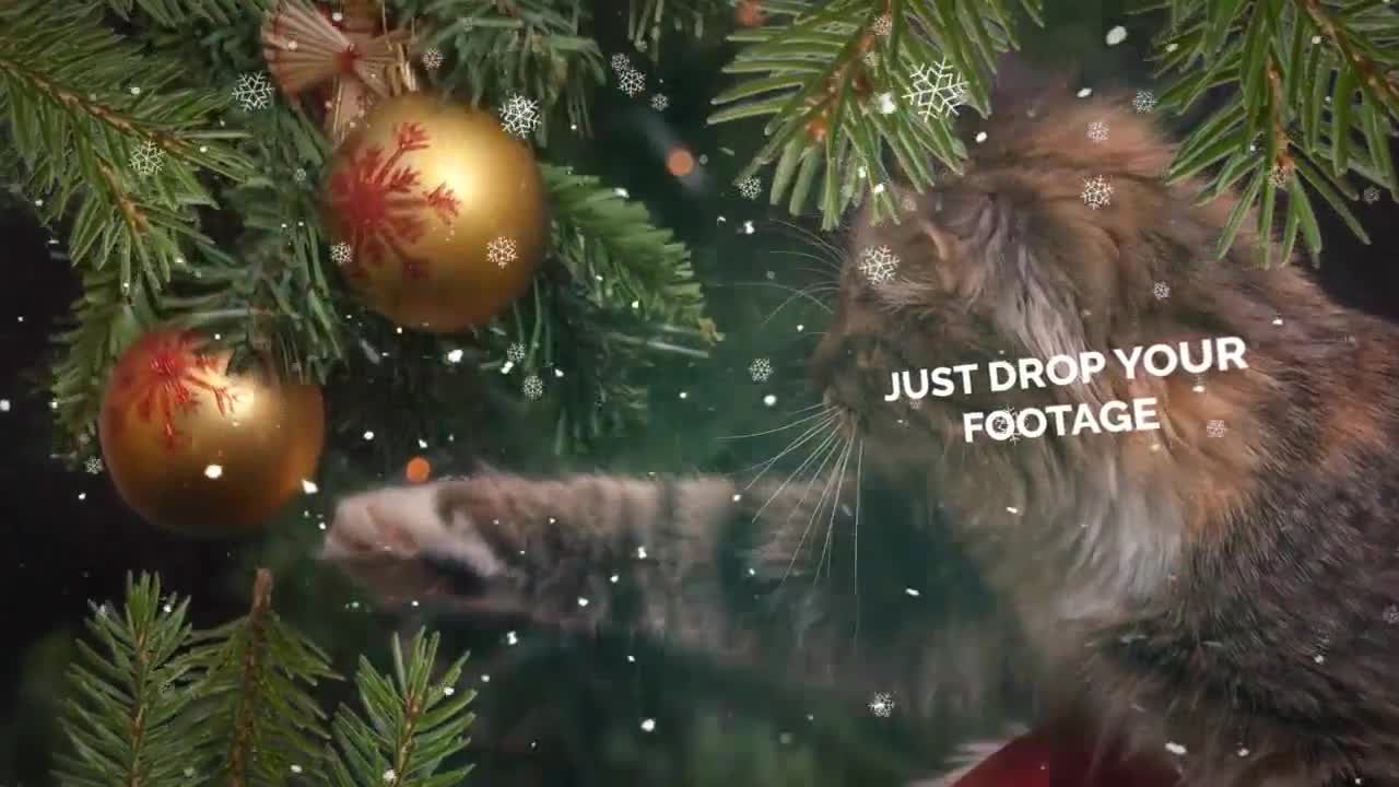 圣诞节和新年照片幻灯片素材库精选AE模板