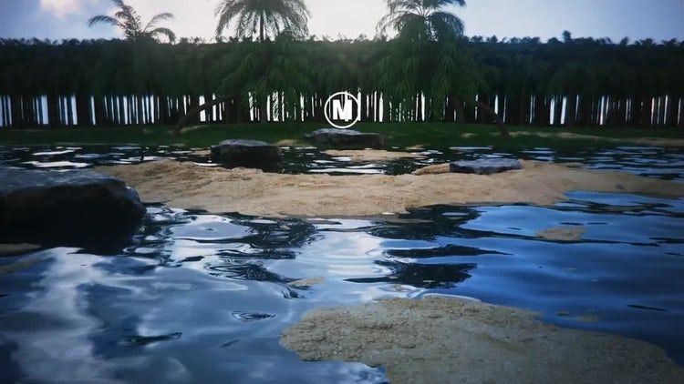 具有异国情调的3D场景热带徽标展示ae模板