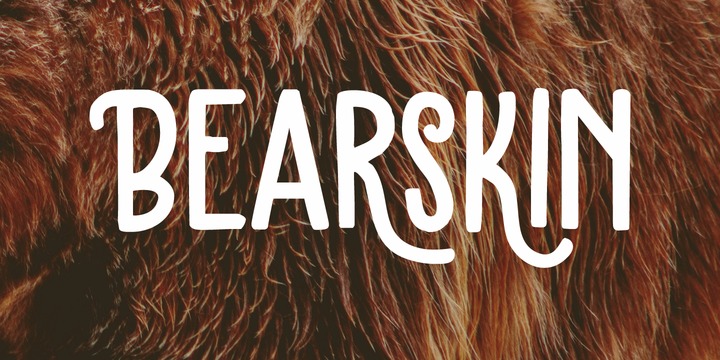 Bearskin Font Family素材之家精选英文字体