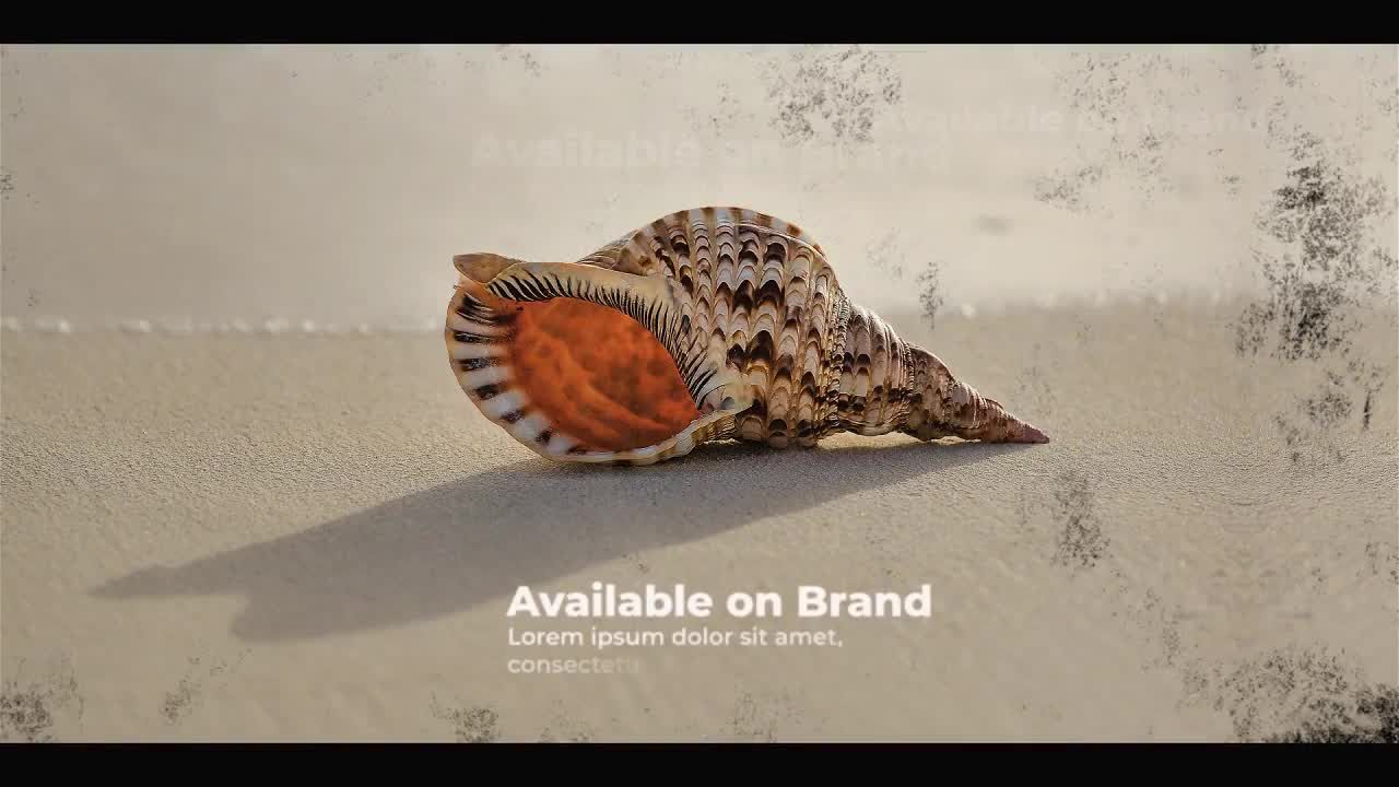 画笔缩放促销动画素材库精选AE模板