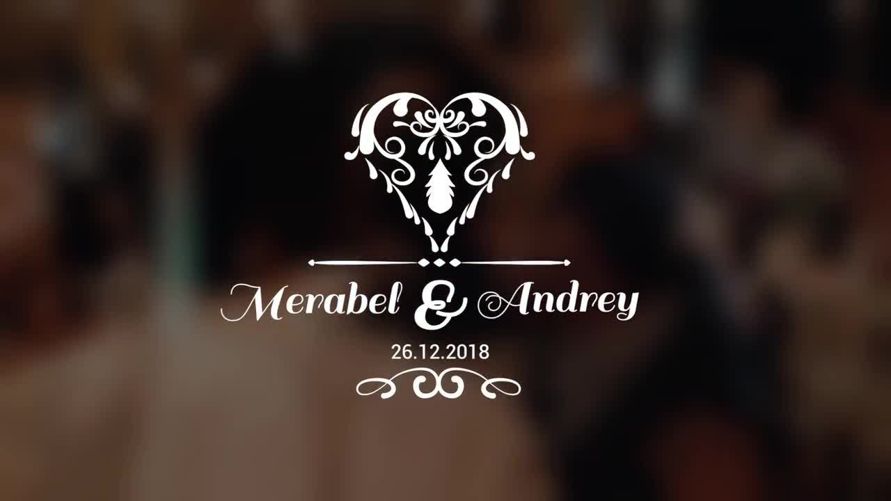 优雅的婚礼标题动画PR模板