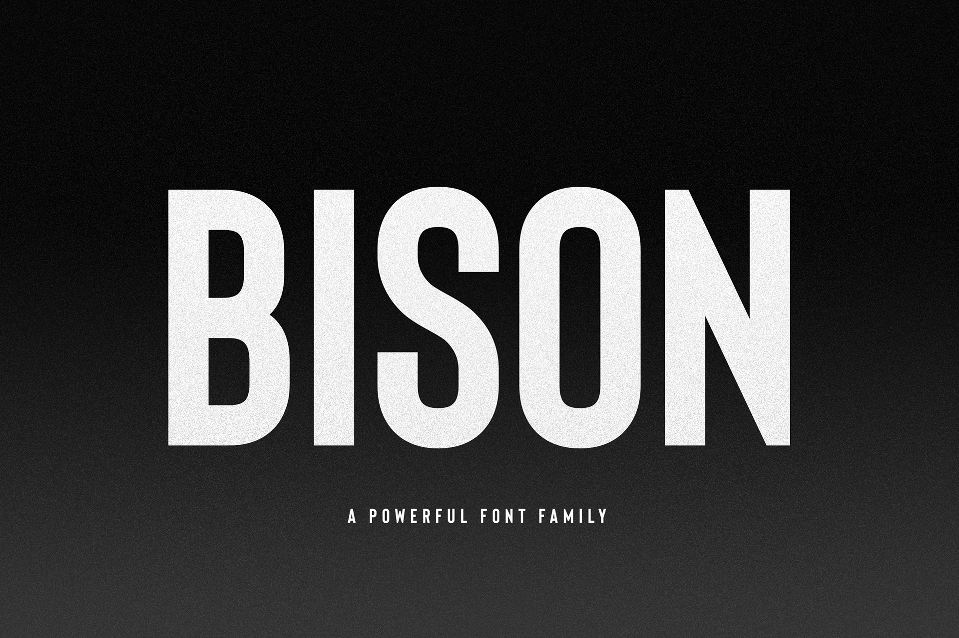 Bison Font Family插图